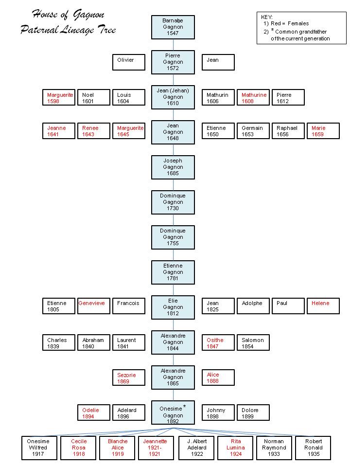 Lineage Chart